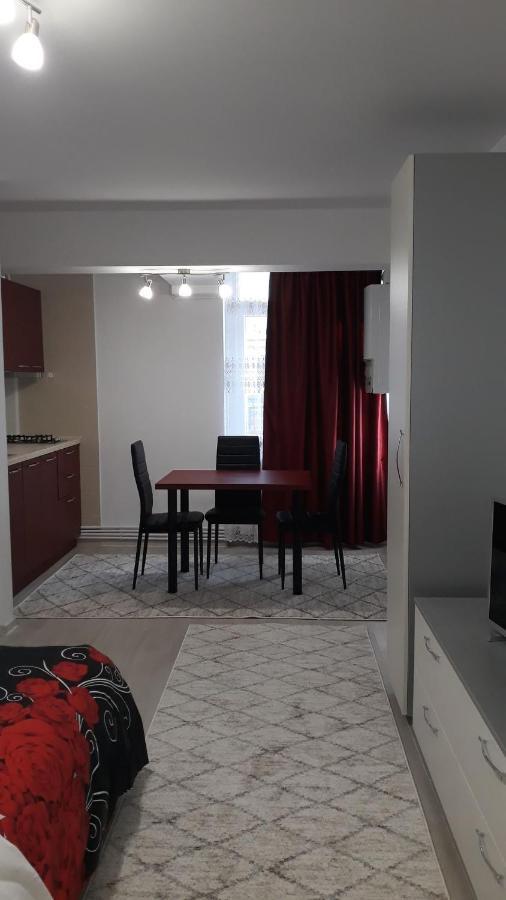 Irvin Apartament 雅西 外观 照片